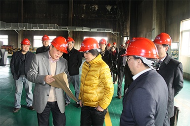2012年1月31日，時任嘉興市委書記魯俊率領(lǐng)市發(fā)改委等市級部門負(fù)責(zé)人到公司調(diào)研