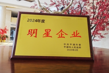 新春新景新氣象 | 景興紙業(yè)在平湖三干大會上喜摘榮譽！